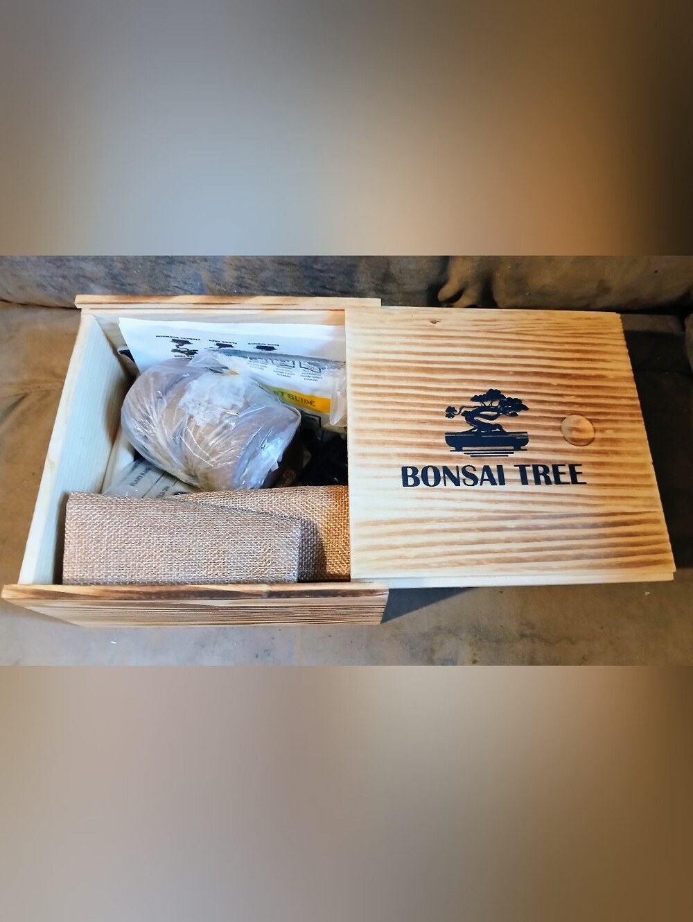 Complete Bonsai Tree Starter Kit NWOT Gift Set